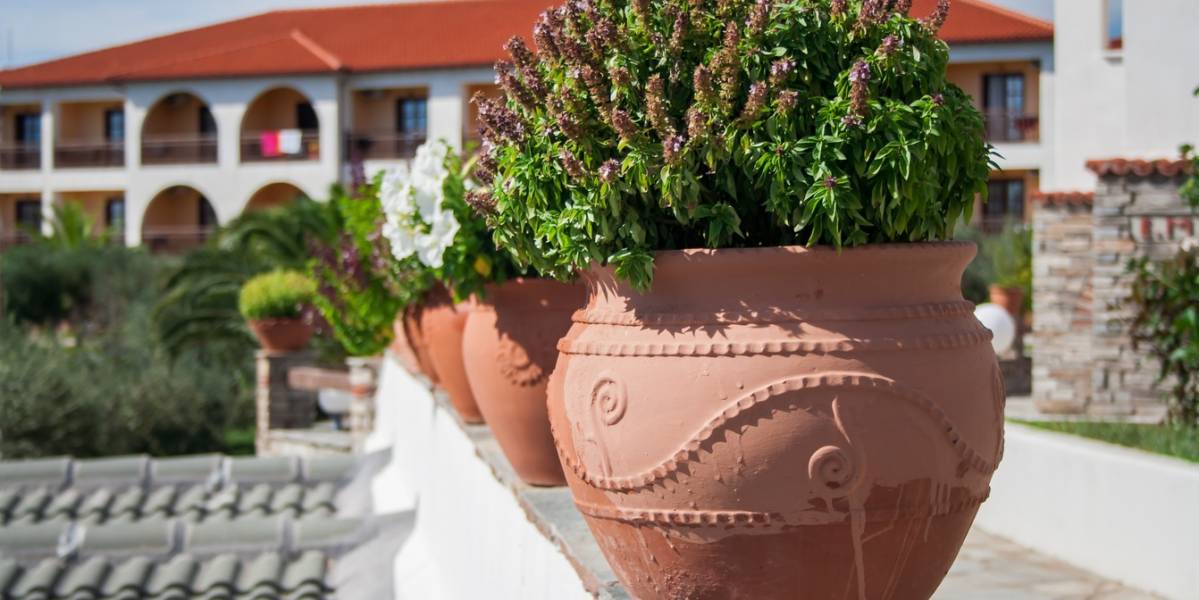 Топ-5 гостиниц и отелей в городе Святые Константин и Елена стоимость до 50 евро