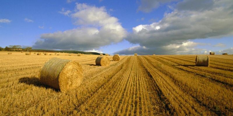 Путешествие из Киева в Люксембург: как мы проехали половину Европы на автомобиле. День 1: Киев - Краков