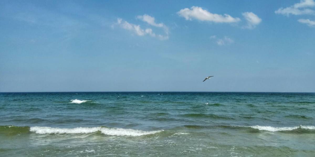 Гид по Сопоту: все об отдыхе в пляжной столице Прибалтики