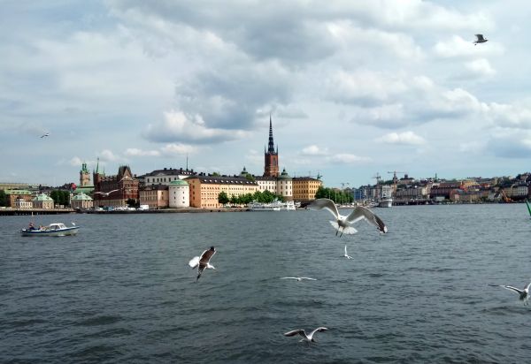 Стокгольм