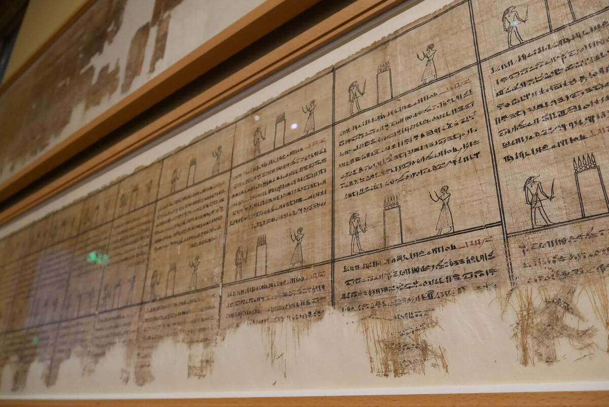 экспонаты музея Истории искусств