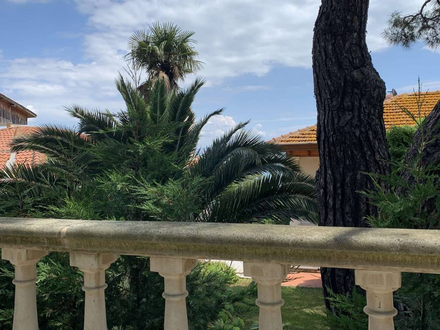 Экскурсии по Принцевым островам