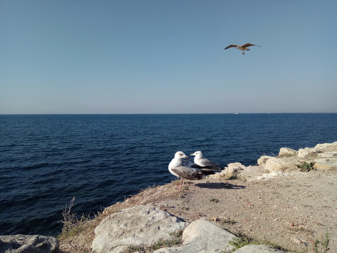 Море в Херсонесе