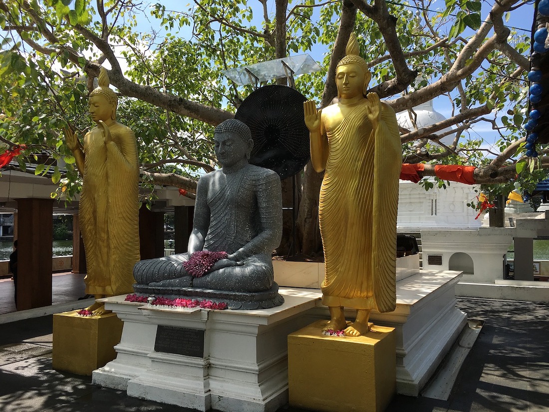 Buddha in Colombo