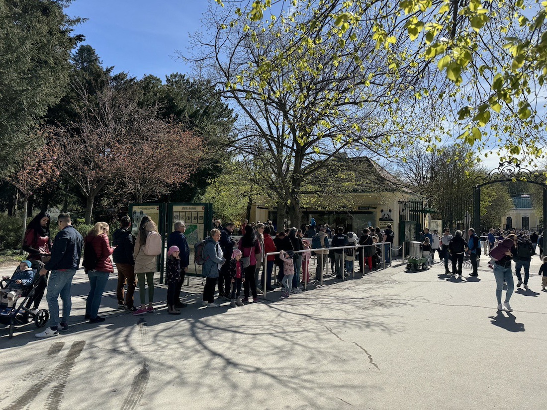 tickets to the Wien zoo
